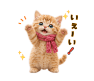 850365132