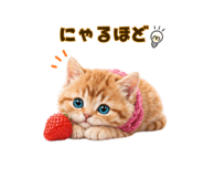 850365134