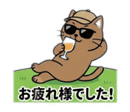 850365508