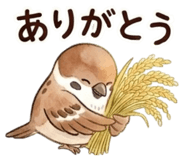 850369826