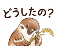 850369832