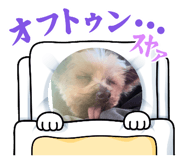 850372389