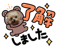 850372404