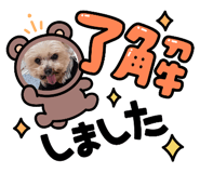 850372405