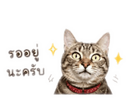 850377772