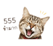 850377773