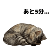 850378444