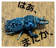 850378965