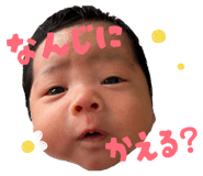 850380739