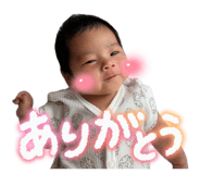 850380740