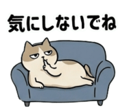 850380773