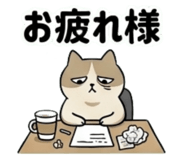 850380774
