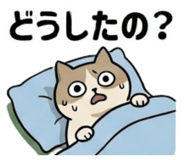 850380775