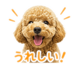 850382293