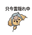 850382589