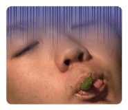 850388198