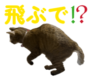 850396033