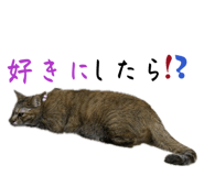 850396034