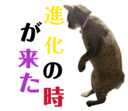 850396036