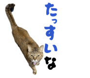 850396043