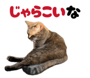 850396045