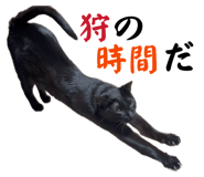 850396051