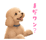 850396365