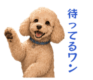 850396366