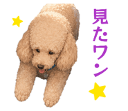 850396371