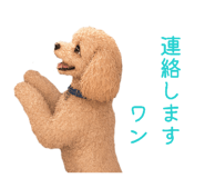 850396374
