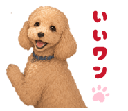 850396383