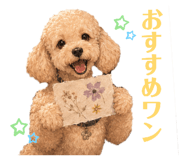 850396395