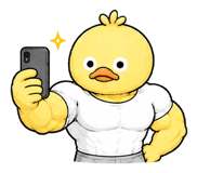 850399781