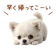 850403148
