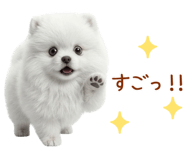 850403431