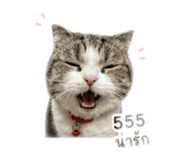 850428976