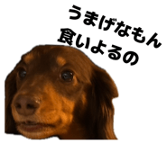 850456399