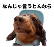 850456412
