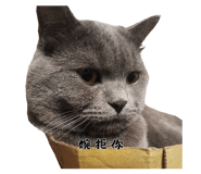 850459970