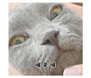 850459982