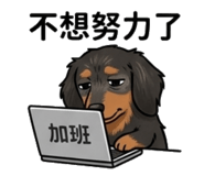 850461166