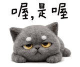 850466079