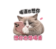850470047