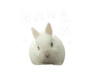 850470270