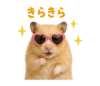 850473211