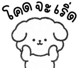 คอตตอน หมาน้อยแสนซน รูปที่ 1