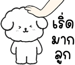 คอตตอน หมาน้อยแสนซน รูปที่ 7
