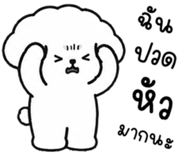 คอตตอน หมาน้อยแสนซน รูปที่ 17