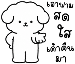 คอตตอน หมาน้อยแสนซน รูปที่ 22