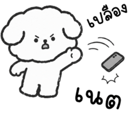 คอตตอน หมาน้อยแสนซน รูปที่ 29